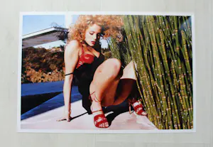 Bettina Rheims - "Elizabeth Berkley stuck in bamboo bushes" - Los Angeles, 1995 kopen? Bied vanaf 150!