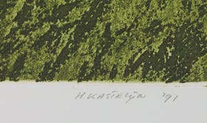 Henk Kastelijn - Kleurenets, Boek der stormen - Paddestoelen zoeken kopen? Bied vanaf 1!