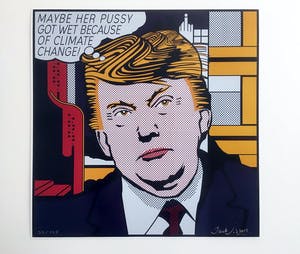 Jack Vissers - Maybe her pussy - offset lithografie, 32/125 kopen? Bied vanaf 50!