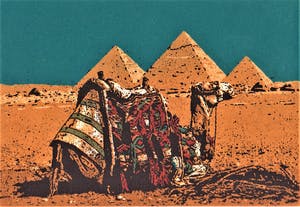 Simon Koene - Zittende kameel bij de piramide van Gizeh (Egypte) kopen? Bied vanaf 25!
