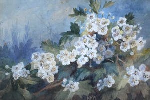 Niet of onleesbaar gesigneerd - C3962 - Bloesemtak kopen? Bied vanaf 1!