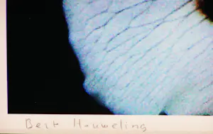 Bert Houweling - Roos 31 kopen? Bied vanaf 10!