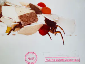 Felix van de Beek - kleine bouwmeesters ( Maastricht) kopen? Bied vanaf 45!