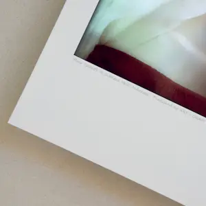 Svetlana Nubarova - 'Flora' (2015) kopen? Bied vanaf 95!