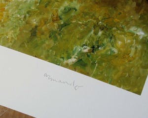 Armando - De Eingang - Giclée 2017 - handgesigneerd , oplage 8/30 kopen? Bied vanaf 125!