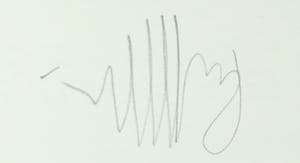 Ronald Ceuppens - Ets & Collage, Flore Belge kopen? Bied vanaf 20!