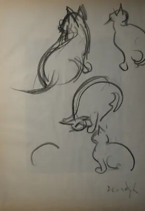 Gerard Hordijk - Studie poezen kopen? Bied vanaf 1!
