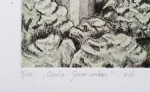 Tiny van der Sar - Azalea-Geraniumkas, aquatint ets kopen? Bied vanaf 40!