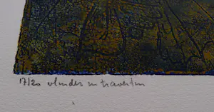 Hans Buining - in zeer kleine oplage (20) gemaakte Ets & Aquatint "Vlinder in travertin" kopen? Bied vanaf 26!