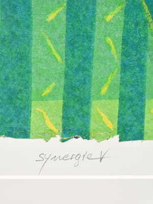 Norbert Cames - Synergie V kopen? Bied vanaf 50!