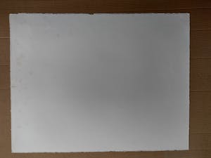 Reinier Lucassen - Nicht Weinen Lieve Bird kopen? Bied vanaf 50!