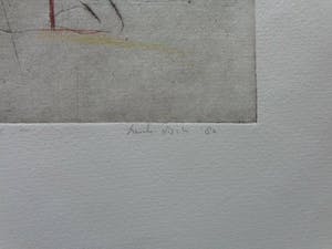 Henk Visch - FIGURATIE / ZW-W ETS + POTLOOD / EAU-FORTE + CRAYON / 66x50cm / SIG kopen? Bied vanaf 55!