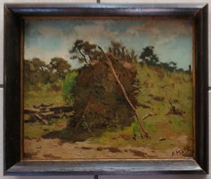 Adrianus Miolee - Het Naaldenveld kopen? Bied vanaf 160!