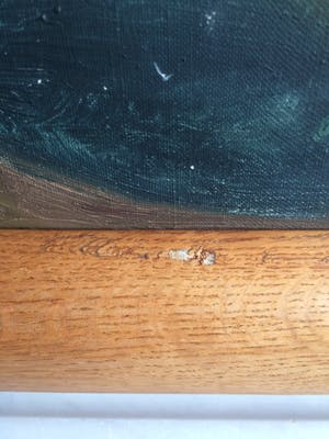 Piet van Wijngaerdt - Witte amaryllis kopen? Bied vanaf 80!