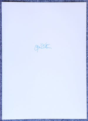 Mario Testino - Autogramm auf Fotografie Kate Moss Cara Delevigne Burberry Advertising kopen? Bied vanaf 69!