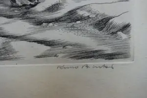 Kuno Brinks - DON QUICHOTE IN HET LANDSCHAP VAN LA MANCHA kopen? Bied vanaf 50!