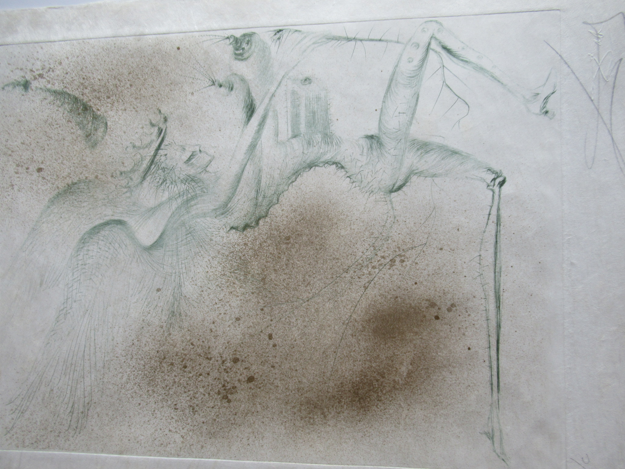 Niet of onleesbaar gesigneerd - Naar Dali’s le Demon Aile kopen? Bied vanaf 1!