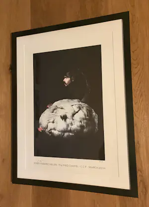 Koen Vanmechelen - Offset Koen Vanmechelen kopen? Bied vanaf 575!