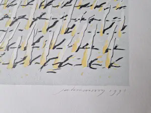 Jan Hein van Rooy - fraai portfolio met 2 Litho's "Westakker" en "Oostakker" - gesigneerd kopen? Bied vanaf 54!