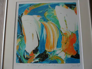 JAS - Zeefdruk, Orange Favorite - Ingelijst kopen? Bied vanaf 35!