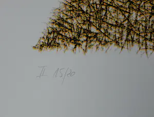 Jörg Steinbach - Siebdruck, 2015, handsigniert und nummeriert, Auflage nur 20 Exemplare kopen? Bied vanaf 70!