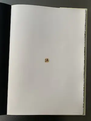 Jan van Munster - IK (kunstenaarsboek) kopen? Bied vanaf 65!