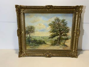 Joop Stoffels - Wageningen kopen? Bied vanaf 25!