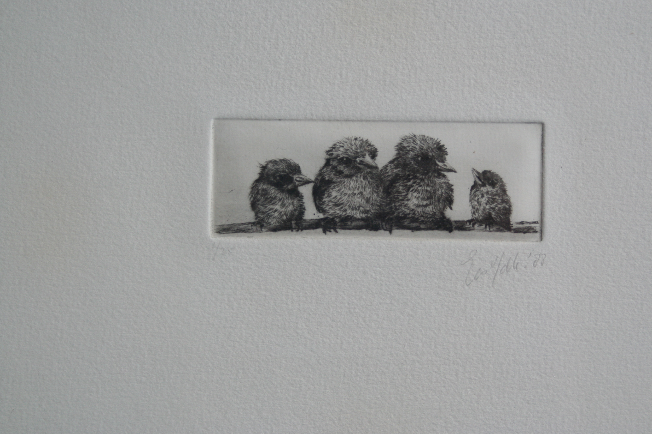 Niet of onleesbaar gesigneerd - vogel gezin - 1988 - gesigneerd kopen? Bied vanaf 1!