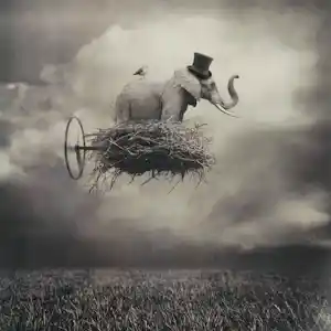 Beata Bieniak - 'Reizend Circus' (2011) verkocht voor € 60!