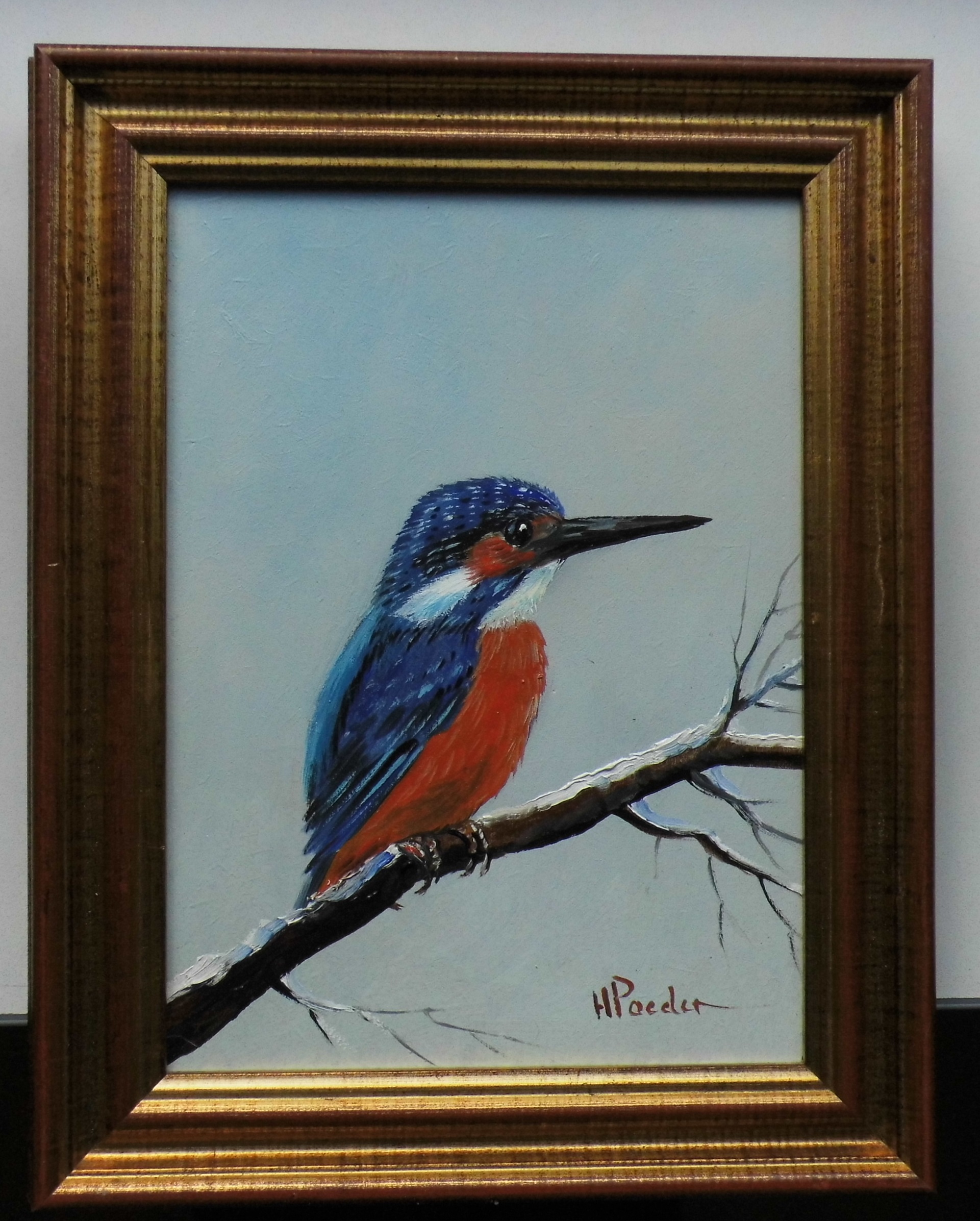 Henk Poeder - ijsvogel verkocht voor € 59!