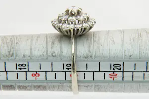 1 - Chique 14Krt gouden rozet ring met 23 briljant geslepen diamanten ca 0.90 ct kopen? Bied vanaf 590!