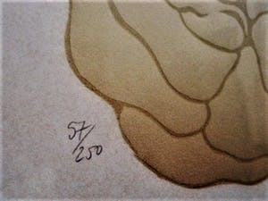 Manuel Menan - Fraaie Preeg of Reliëfdruk - Roos en blad - 1974 - gesigneerd - oplage 250 kopen? Bied vanaf 1!