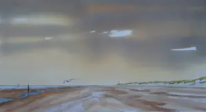 Franklin Meijer - Texel - Strand Vuurtoren de Cocksdorp kopen? Bied vanaf 49!