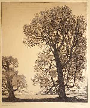 Wijnand Otto Jan Nieuwenkamp - Twee zilverpopulieren bij Santpoort (Haarlem op de achtergrond) verkocht voor € 120!