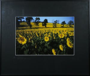 Paul Huf - Foto, France, Van Gogh's Footsteps - Ingelijst kopen? Bied vanaf 1!