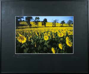 Paul Huf - Foto, France, Van Gogh's Footsteps - Ingelijst verkocht voor € 1!