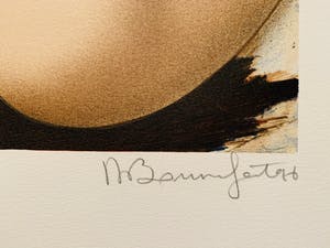 Alain Bonnefoit - Suite Nus: Cheveux Noirs kopen? Bied vanaf 35!