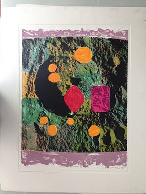 Jelis van Dolderen - Luna colorata III - Zeefdruk (groot) kopen? Bied vanaf 40!