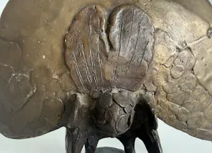 Ek van Zanten - bronzen sculptuur | 'Pauw' kopen? Bied vanaf 750!