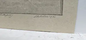 Chris Le Roy - Jonge Gierzwaluw kopen? Bied vanaf 35!