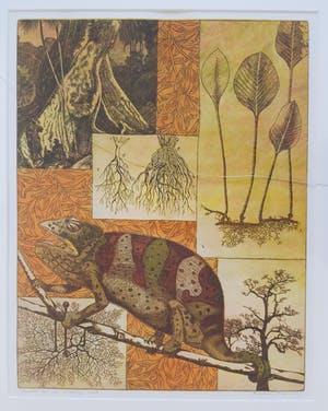 Annemarie Petri - Interieur van een rizoloog kopen? Bied vanaf 20!