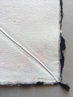 Shinkichi Tajiri - aquagravure ’Knoop’ - minimalistisch en kleurrijk - 1993- oplage 35 kopen? Bied vanaf 375!