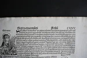 Michael Wolgemut - 15e eeuwse incunabel met 13 houtsnedes - pagina uit de Kroniek van Neurenberg kopen? Bied vanaf 75!