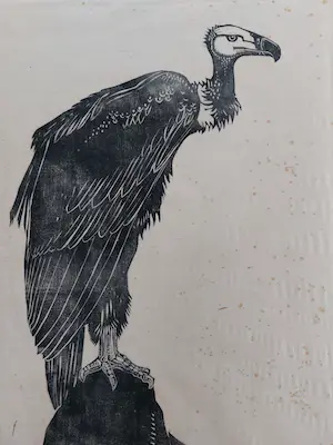 Willem van den Berg - Houtsnede Gier kopen? Bied vanaf 60!