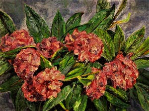 Han Boskamp - omstreeks 1930 - Pasteus olieverf - Bloemen stilleven "Hortensia" gesigneerd kopen? Bied vanaf 10!