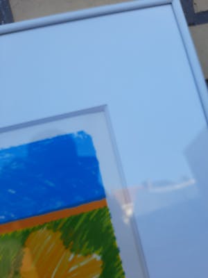 Jan Cremer - KOE MET HOOIMIJTEN kopen? Bied vanaf 299!