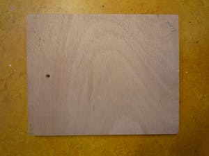 Irene van den Bos - Pioenrozen kopen? Bied vanaf 40!