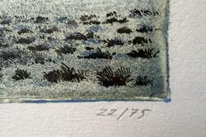 Han van Hagen - Shetlander kopen? Bied vanaf 50!