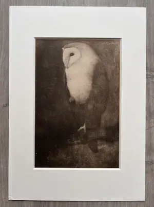 Jan Mankes - Originele Heliogravure Uil op Boomtak 1923 kopen? Bied vanaf 165!