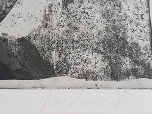 Jan Prins - Ets - Gesigneerd 1985 kopen? Bied vanaf 20!